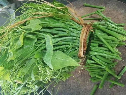 佛手瓜怎么吃没毒